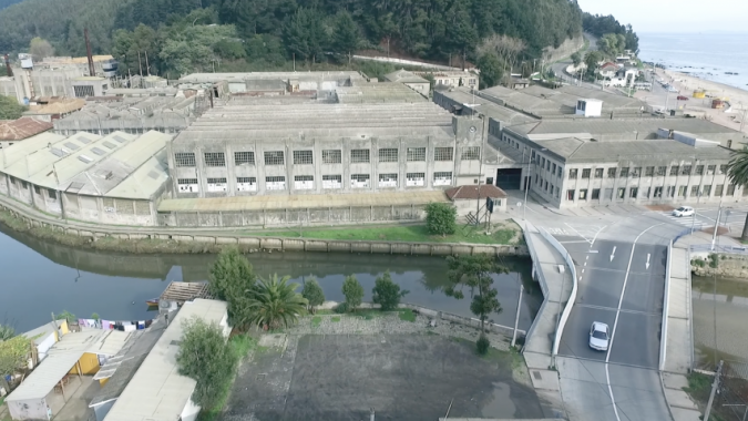 Fábrica Textil Bellavista Oveja Tomé
