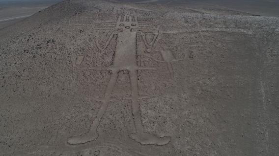 Gigante de Atacama