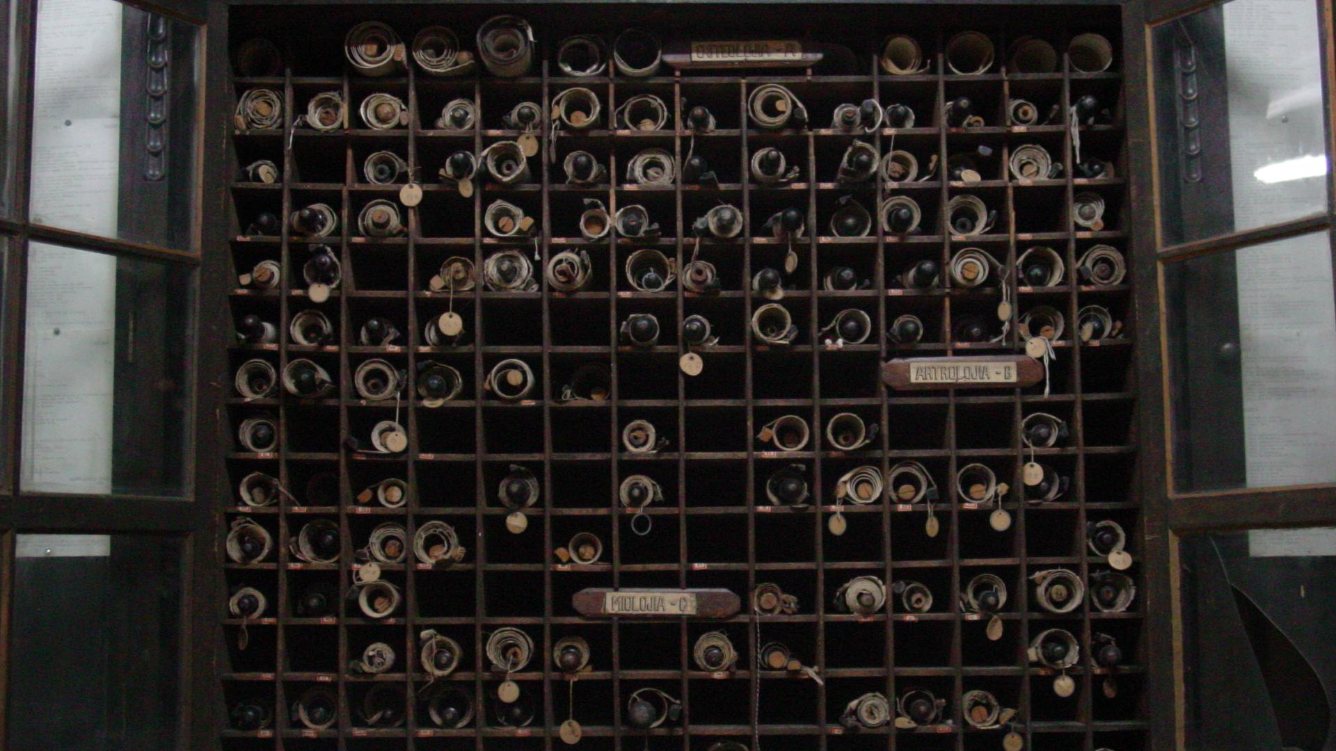 Imagen del monumento Colecciones del Museo de Anatomía