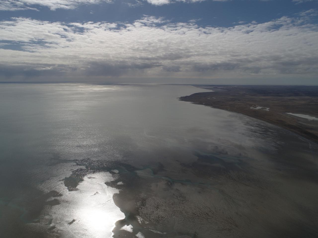Imagen de Bahía Lomas, en Tierra del Fuego, se convierte en el Santuario de la Naturaleza más austral del país