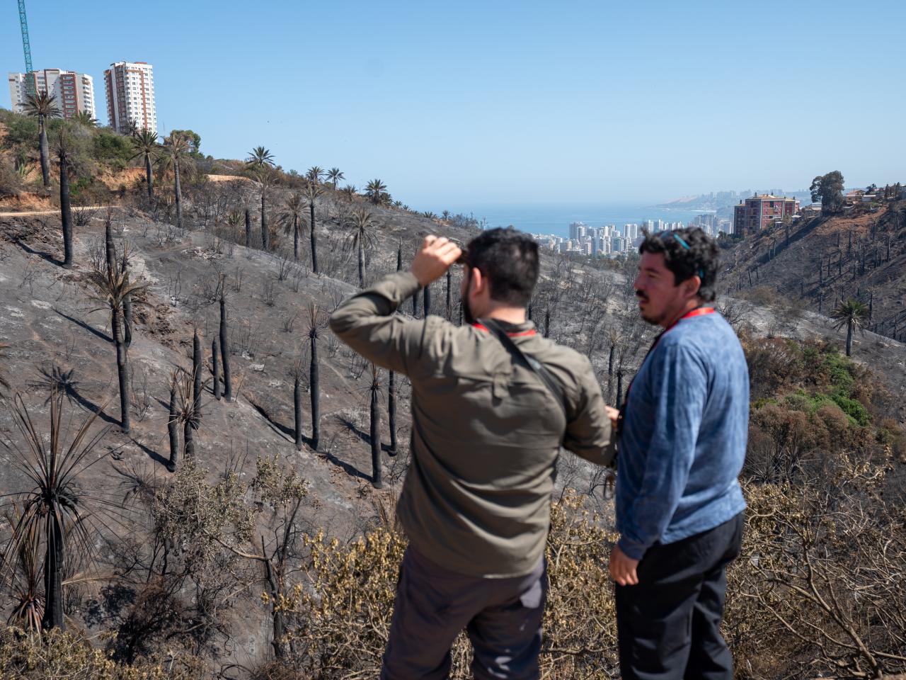 Imagen de Profesionales de la ST CMN realizaron inspección en Santuario de la Naturaleza Palmar El Salto de Viña del Mar
