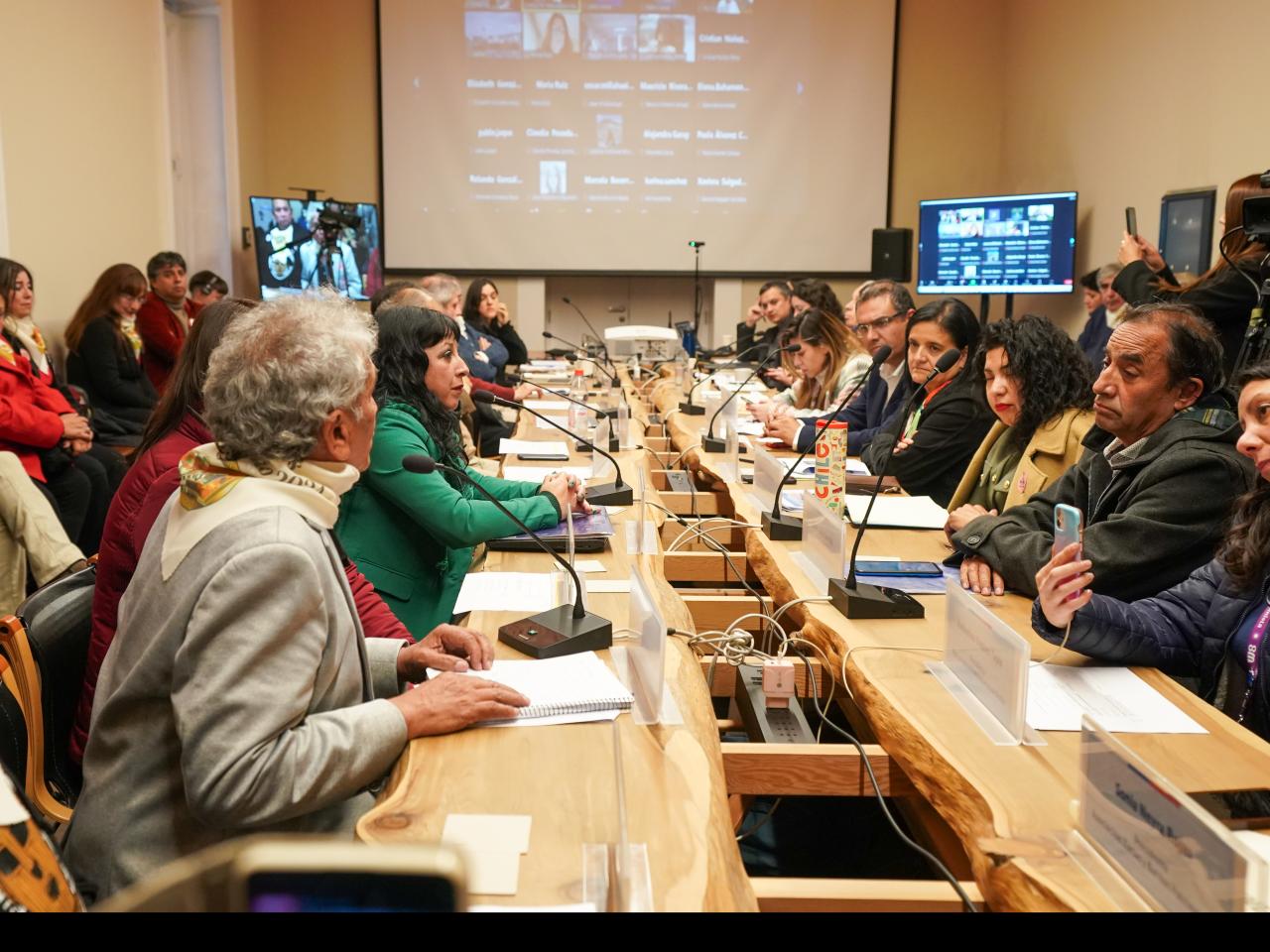 Imagen de CMN aprueba solicitud de declaratoria como Monumento Nacional del Asentamiento Minero de Potrerillos