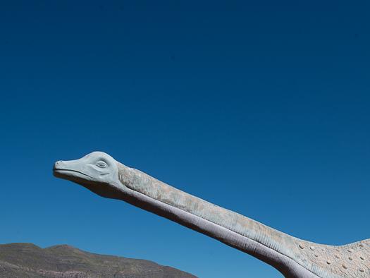 Imagen del monumento Bosque Petrificado y yacimiento de huesos de dinosaurio