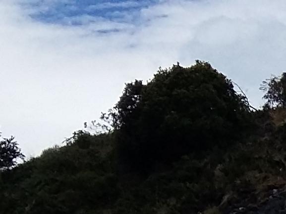 Imagen del monumento Capilla de Mármol