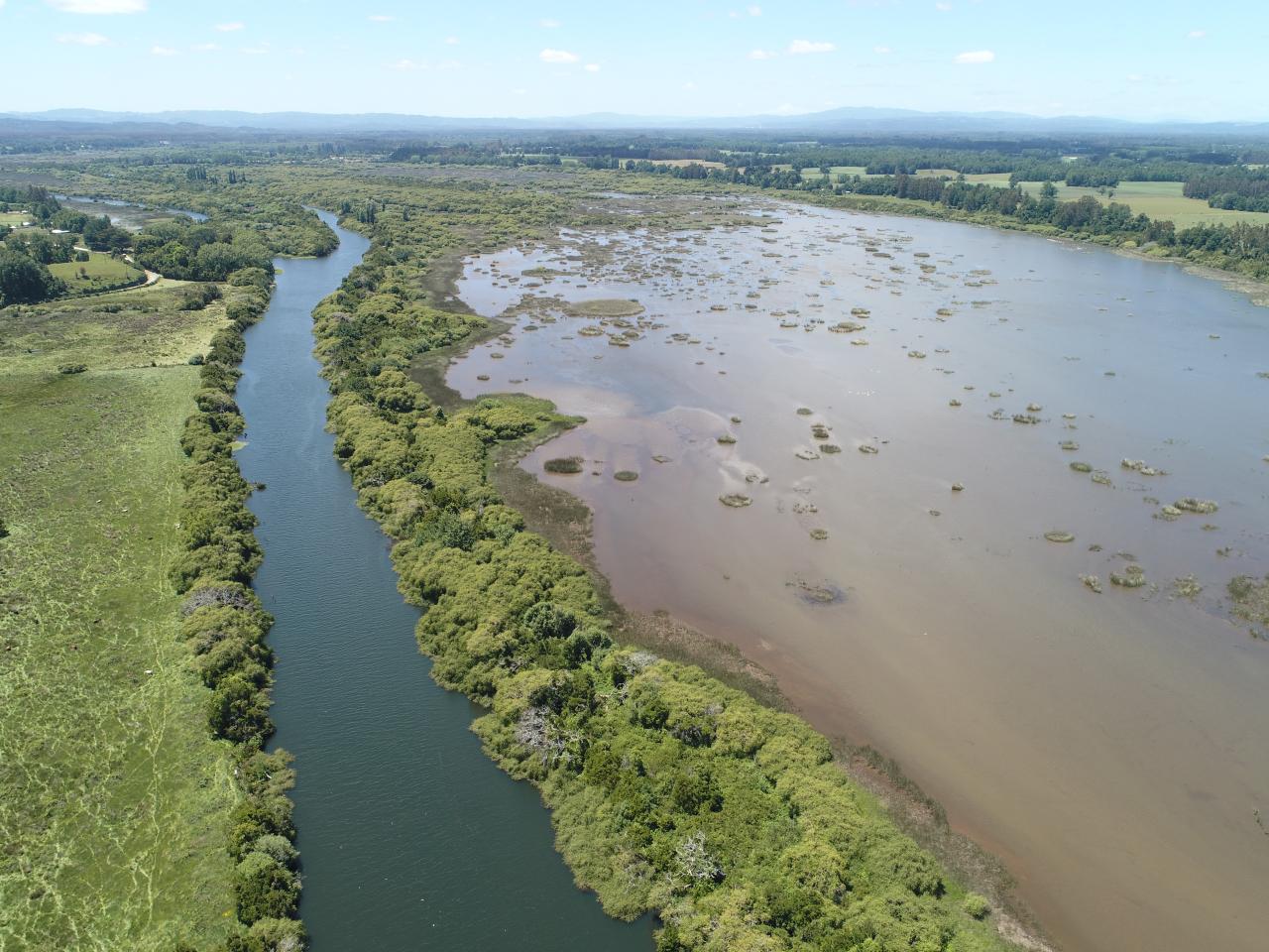 Imagen del monumento Zona húmeda de los alrededores de la ciudad de Valdivia