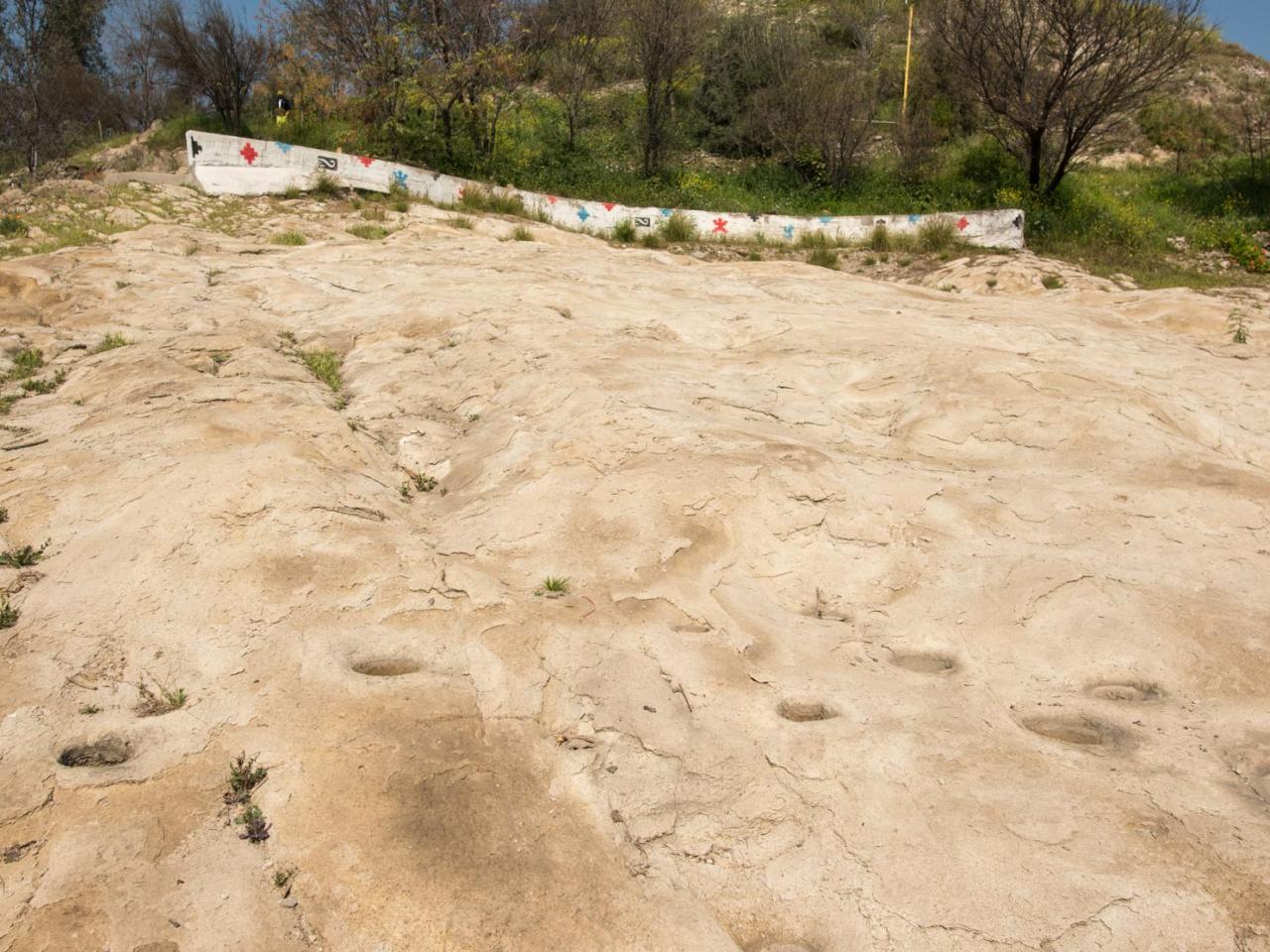 Imagen del monumento Plazoleta de piedras tacitas