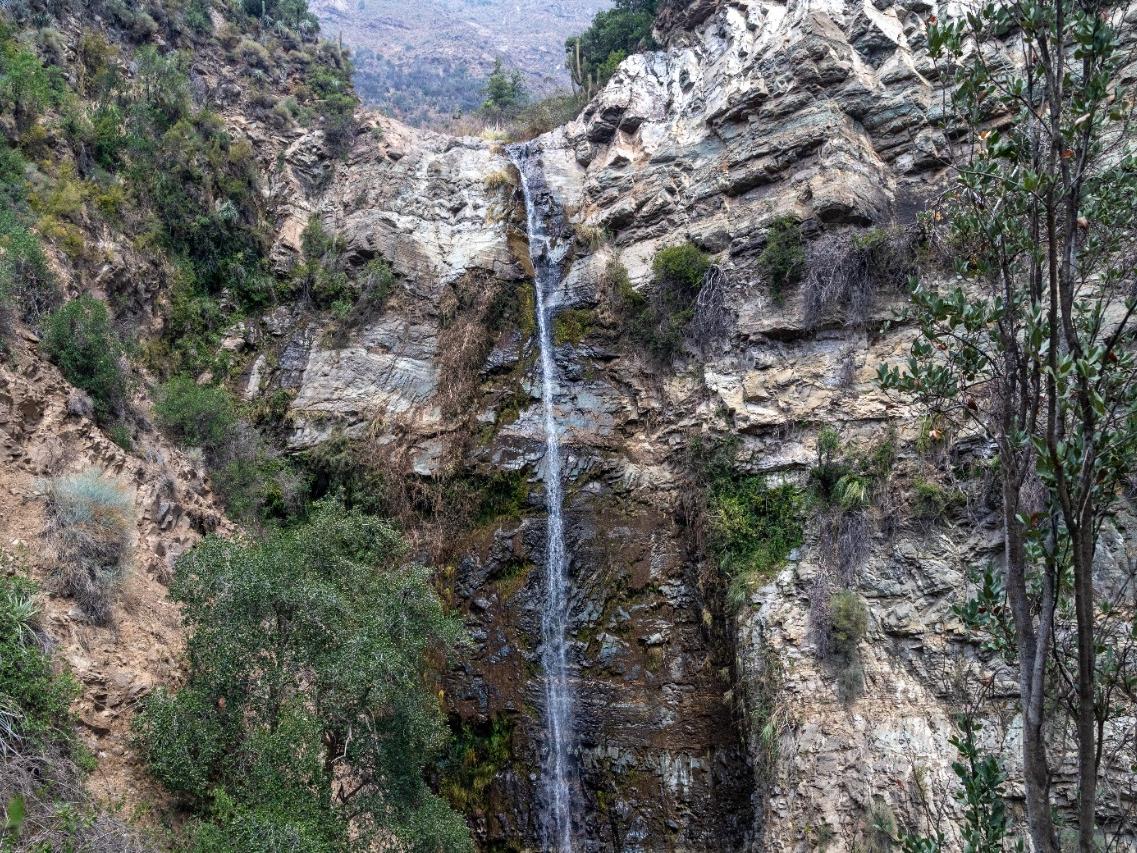 Imagen de Para celebrar el Día de la Niñez, cuatro Santuarios de la Naturaleza de la Región Metropolitana abrirán gratuitamente y con previa inscripción