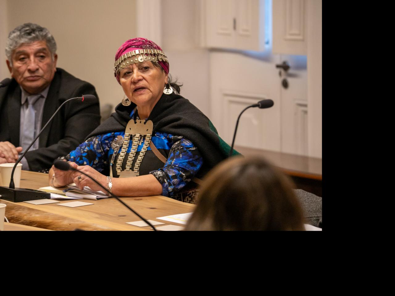 Imagen de CMN aprueba declaratoria como Monumento Histórico del primer memorial mapuche por derechos humanos
