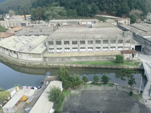 Fábrica Textil Bellavista Oveja Tomé
