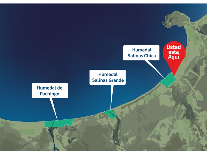 Mapa Ilustrado Humedales