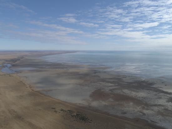 Imagen de Bahía Lomas, en Tierra del Fuego, se convierte en el Santuario de la Naturaleza más austral del país