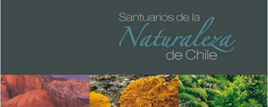 Imagen de Libro de santuarios de la naturaleza retrata labor del Consejo de Monumentos Nacionales en 40 años a cargo del tema