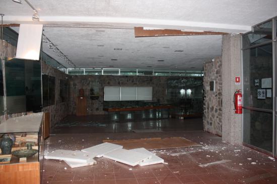 Imagen de Bibliotecas y Museos soportaron de buena manera el terremoto