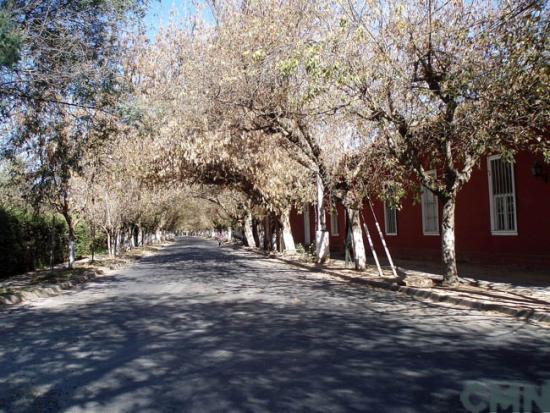 Imagen de CMN anuncia nuevo reglamento de Zonas Típicas que ayudara en la gestión de las comunidades con sus territorios