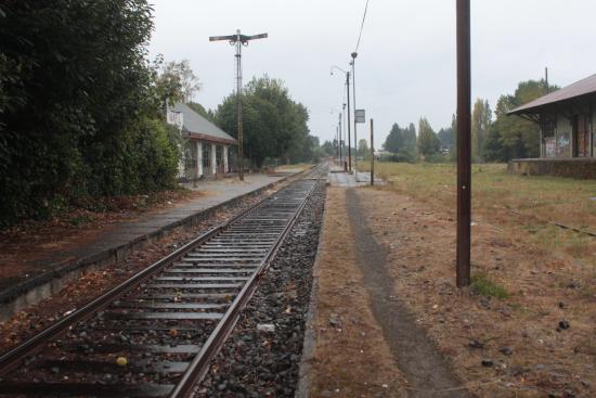 Imagen de Declaran Monumento Nacional Estación de Máfil