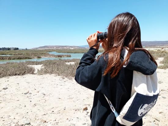 Imagen de Biblioteca Pública de Tongoy pone a disposición de la comunidad completo kit para la observación de aves
