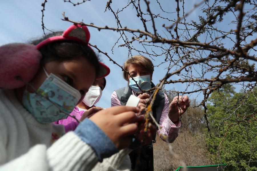 Imagen de Ministra de las Culturas visita uno de los cuatro Santuarios de la Naturaleza de la Región Metropolitana que abrirán gratuitamente para celebrar el Día de la Niñez