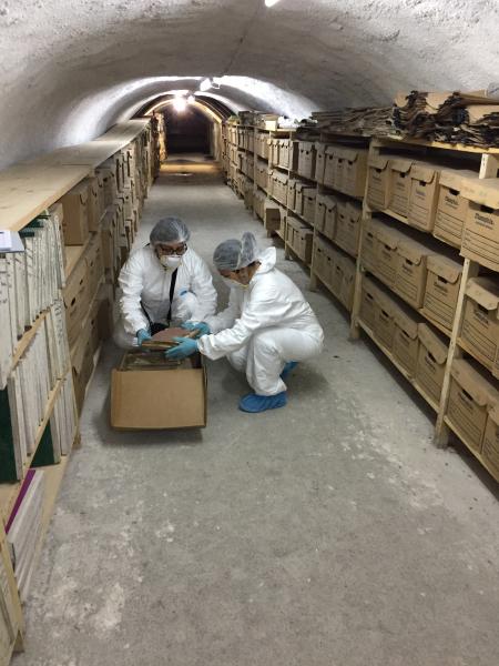 Imagen de CMN aprueba declaratoria como Monumento Histórico de los Archivos de la desaparecida Empresa Nacional del Carbón