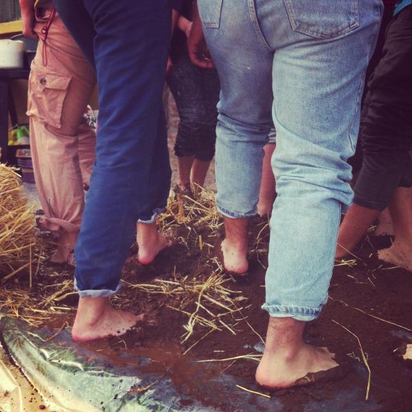Imagen de Trabajos voluntarios y Fiesta del Adobe en Canela durante enero