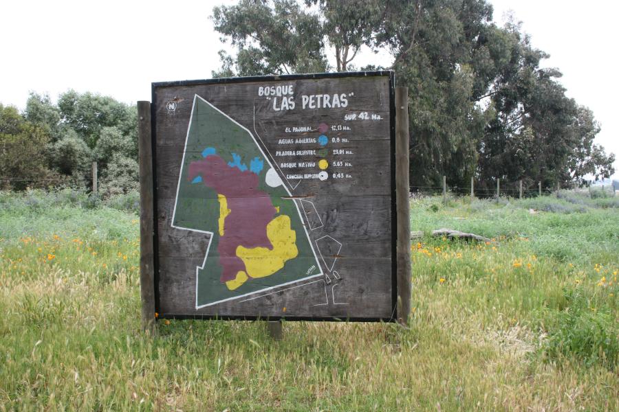Imagen de Se capacitarán voluntarios y funcionarios públicos para recuperar el Bosque Las Petras de Quintero