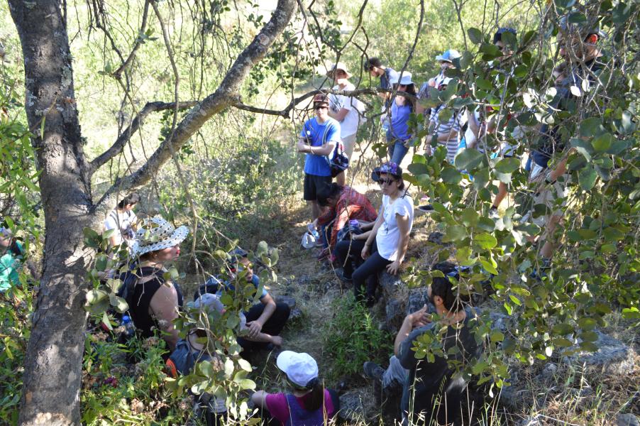 Imagen de Maravilloso Viaje del Club de Los Sábados a Taguatagua