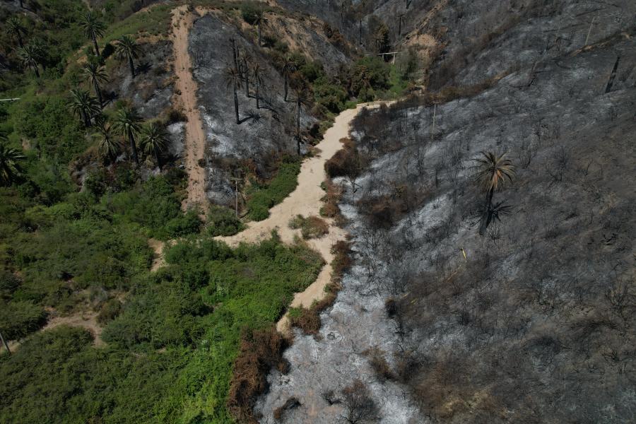 Imagen de Profesionales de la ST CMN realizaron inspección en Santuario de la Naturaleza Palmar El Salto de Viña del Mar
