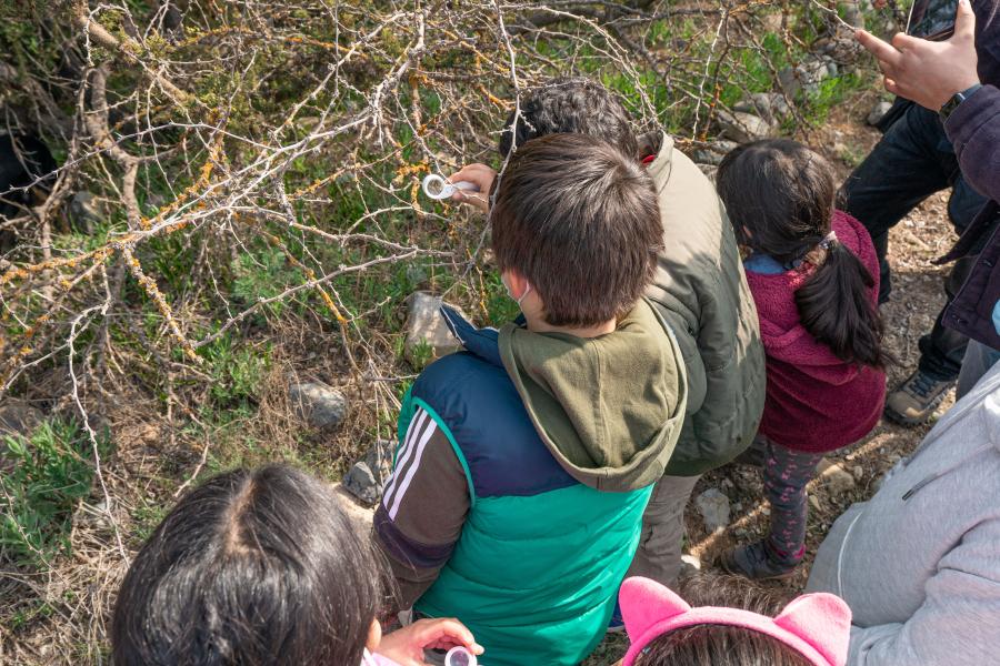 Imagen de ¡Sumamos un nuevo día para disfrutar el Patrimonio Natural! El domingo 15 tres Santuarios de la Naturaleza abrirán gratis