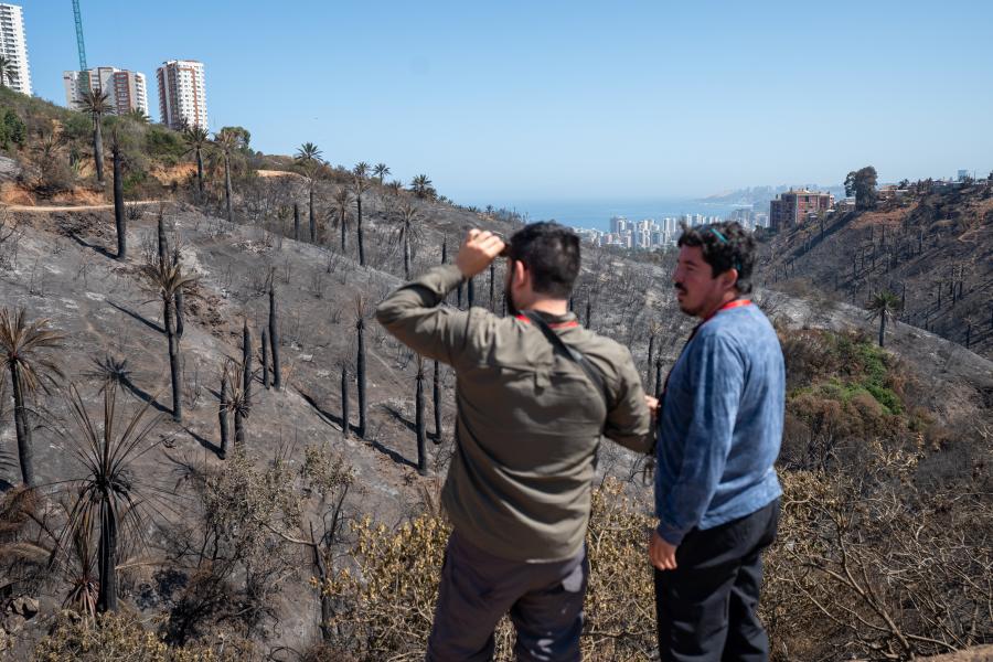 Imagen de Profesionales de la ST CMN realizaron inspección en Santuario de la Naturaleza Palmar El Salto de Viña del Mar
