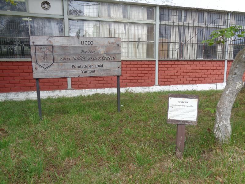 Imagen de CMN aprueba solicitud de declaratoria de los objetos del gabinete científico del Liceo Bicentenario de Yumbel