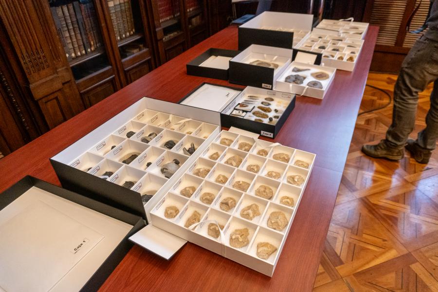 Imagen de Secretaría Técnica del CMN concreta la restitución de piezas paleontológicas originarias de Marruecos