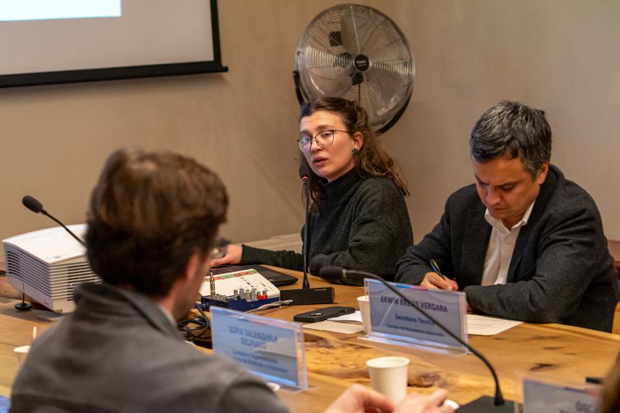 Imagen de Consejo de Monumentos Nacionales avanza en la resolución de los permisos arqueológicos del proyecto “Nuevo Hospital de La Unión” conforme a los acuerdos de la consulta indígena