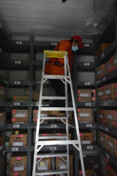 Imagen de Depósito de Paleontología del CMN estrena sus nuevas dependencias en el Palacio Pereira