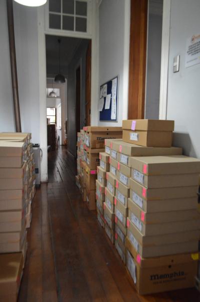 Imagen de Depósito de Paleontología del CMN estrena sus nuevas dependencias en el Palacio Pereira