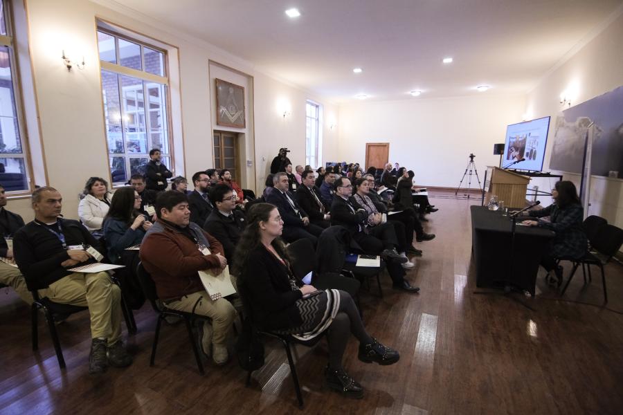Imagen de Instituciones se reúnen en Punta Arenas para combatir el tráfico ilícito de bienes culturales