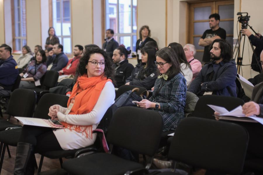 Imagen de Instituciones se reúnen en Punta Arenas para combatir el tráfico ilícito de bienes culturales