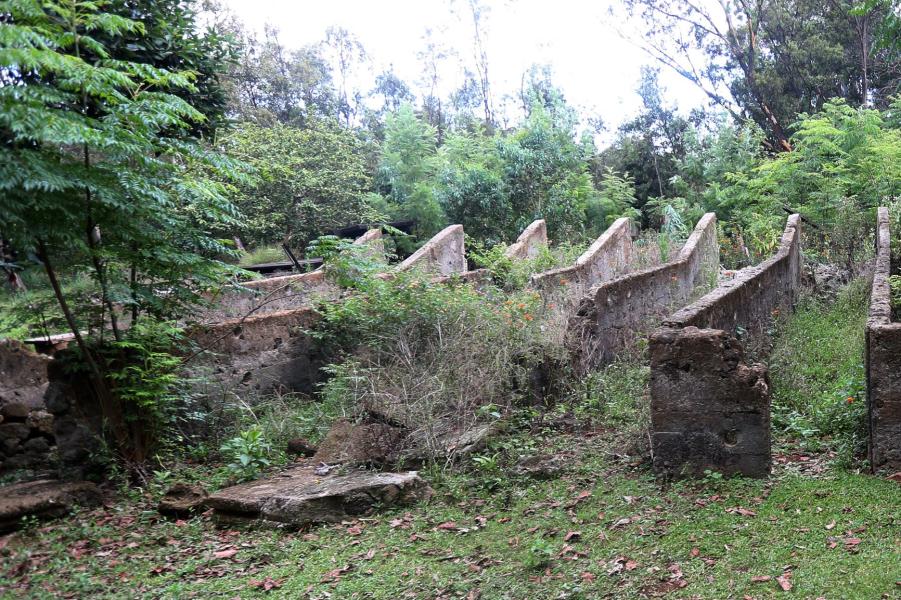 Imagen de Bienes Nacionales destina terreno de 10 hectáreas a Ministerio de Culturas para futuro Museo Antropológico de Rapa Nui
