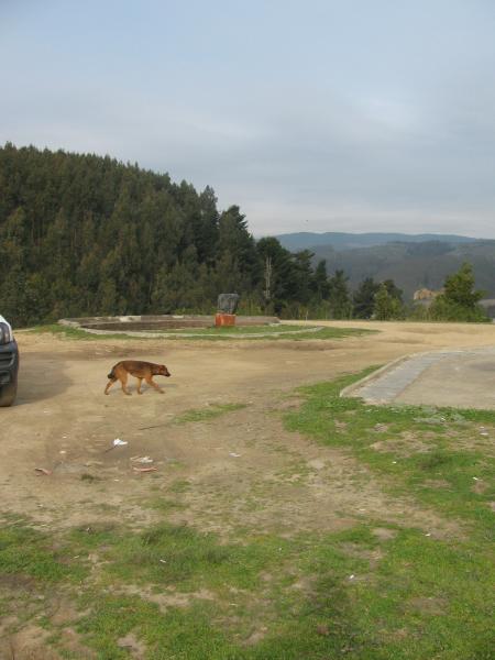Imagen del monumento Fuerte de Colcura