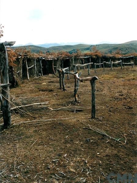 Imagen del monumento Complejo religioso y ceremonial indígena mapuche de Mitrauquén Alto, Eltuwe (cementerio) y Ngüillatuwe