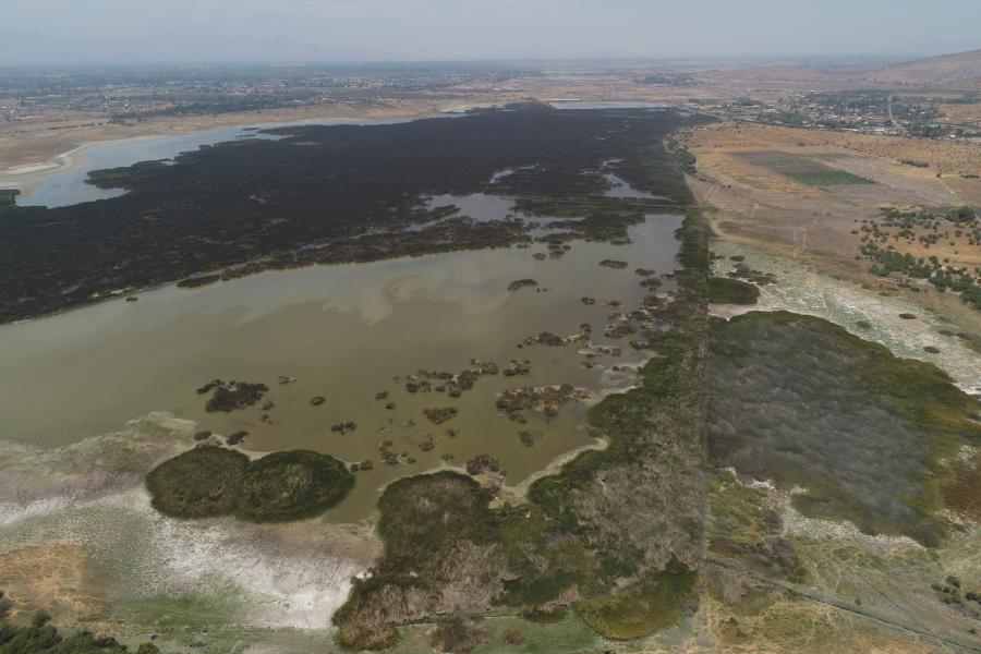 Imagen del monumento Laguna de Batuco