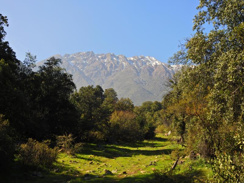 Imagen del monumento Torcazas de Pirque