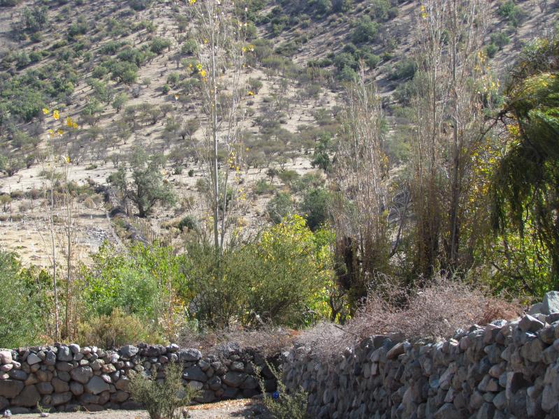 Imagen del monumento Sitio Histórico y Arqueológico &amp;quot;Corrales de Chalaco&amp;quot;