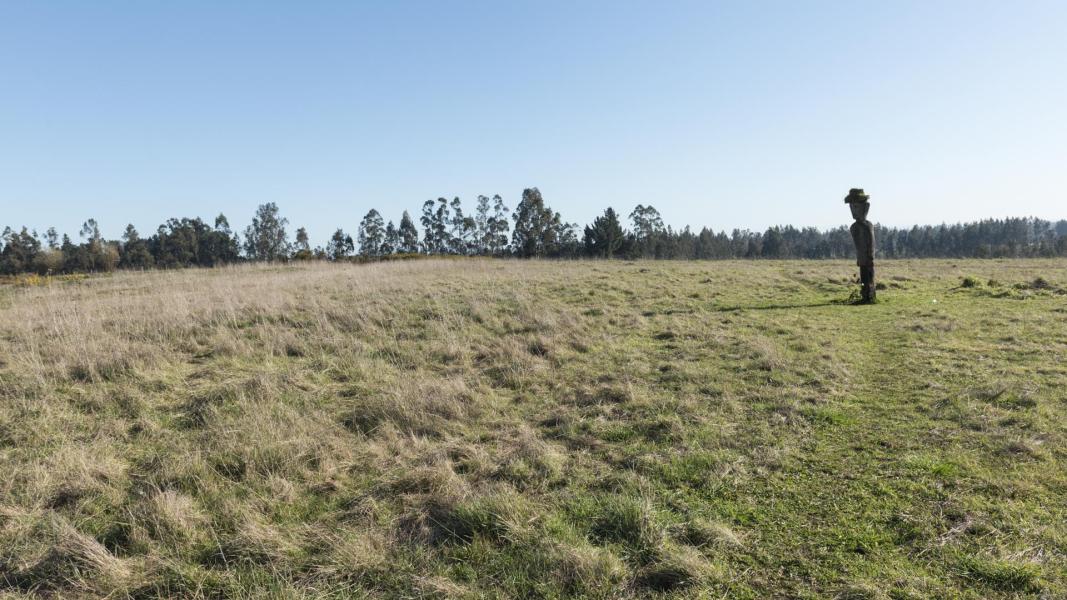 Imagen del monumento Nguillatuwe, menoko y cementerio del complejo ceremonial y religioso mapuche de Monopaine