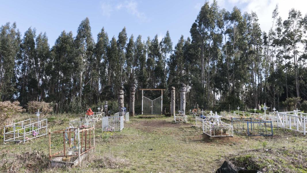 Imagen del monumento Eltun o cementerio mapuche ubicado en la localidad de Los Huape