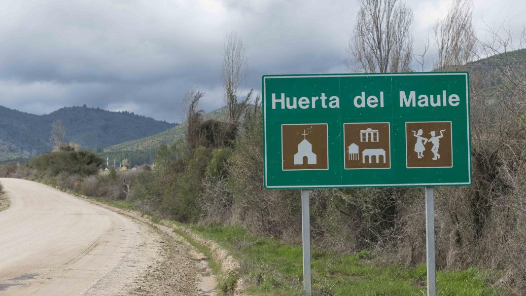 Imagen del monumento Localidad denominada Huerta de Maule