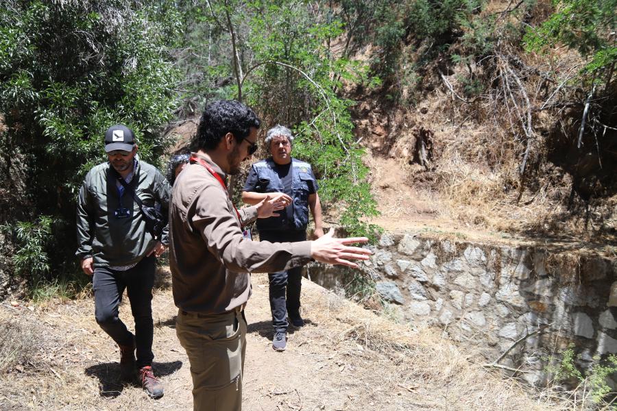 Imagen de Profesionales de la ST CMN realizaron inspección en Santuario de la Naturaleza Palmar El Salto de Viña del Mar