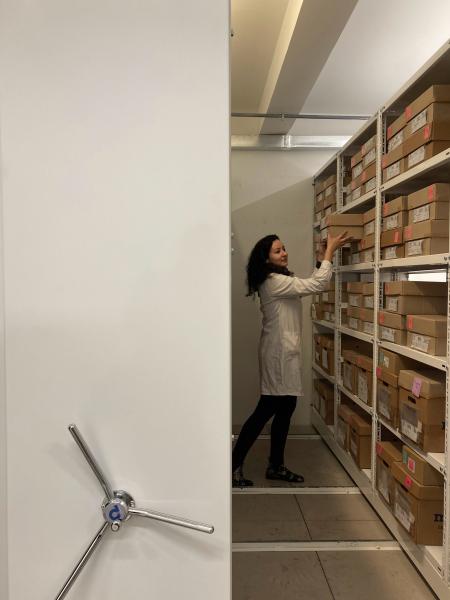 Imagen de Depósito de Paleontología del CMN estrena sus nuevas dependencias en el Palacio Pereira