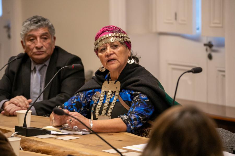 Imagen de CMN aprueba declaratoria como Monumento Histórico del primer memorial mapuche por derechos humanos