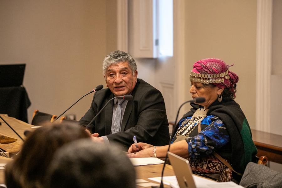 Imagen de CMN aprueba declaratoria como Monumento Histórico del primer memorial mapuche por derechos humanos