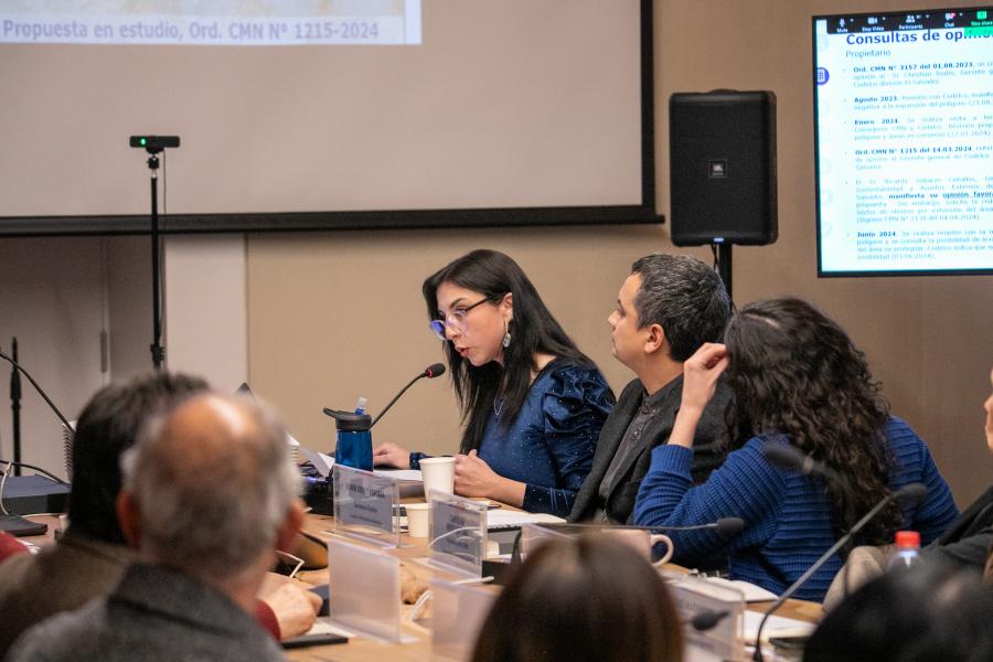 Imagen de CMN aprueba solicitud de declaratoria como Monumento Nacional del Asentamiento Minero de Potrerillos