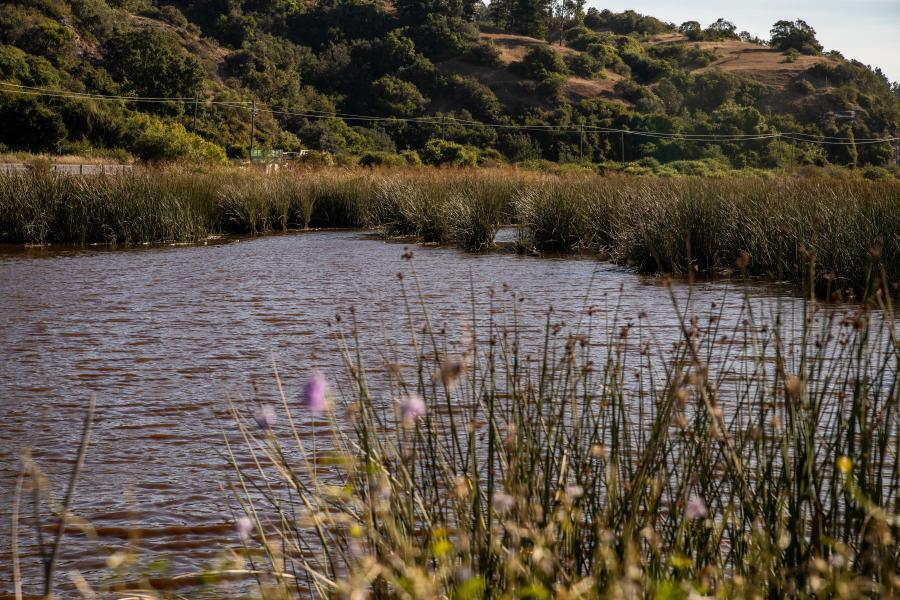 Imagen de Consejo de Monumentos Nacionales inicia campaña de concientización sobre Santuarios de la Naturaleza